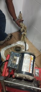 Imagen de WhatsApp 2025-04-02 a las 11.44.16_4f585650